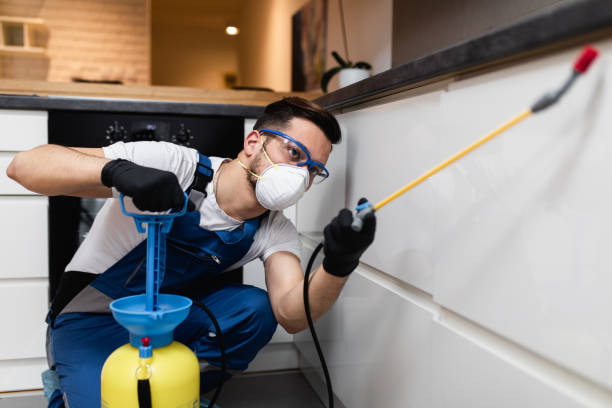 Best Pest Control Near Me  in Riviera Beach, MD