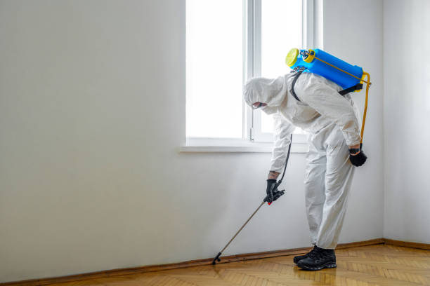 Best Rat Extermination Near Me  in Riviera Beach, MD