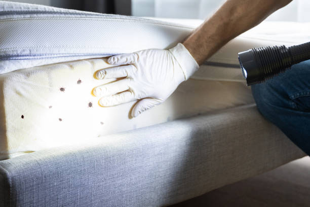 Best Bed Bug Extermination  in Riviera Beach, MD