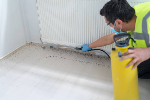 Best Ant Control Services  in Riviera Beach, MD