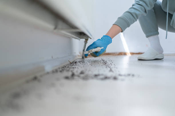 Professional Pest Control in Riviera Beach, MD